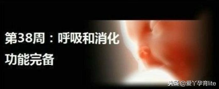 37周到40周做些什么产检,孕期产检知识大全