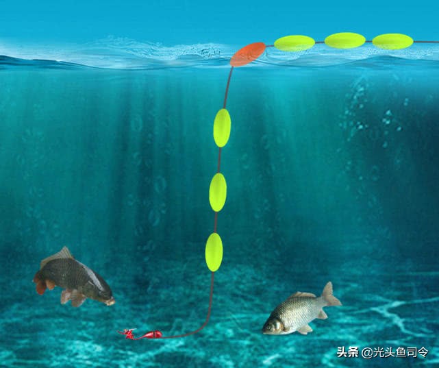 一竿一线一盒蚯蚓，打遍各种水域无敌手，冬季最适用