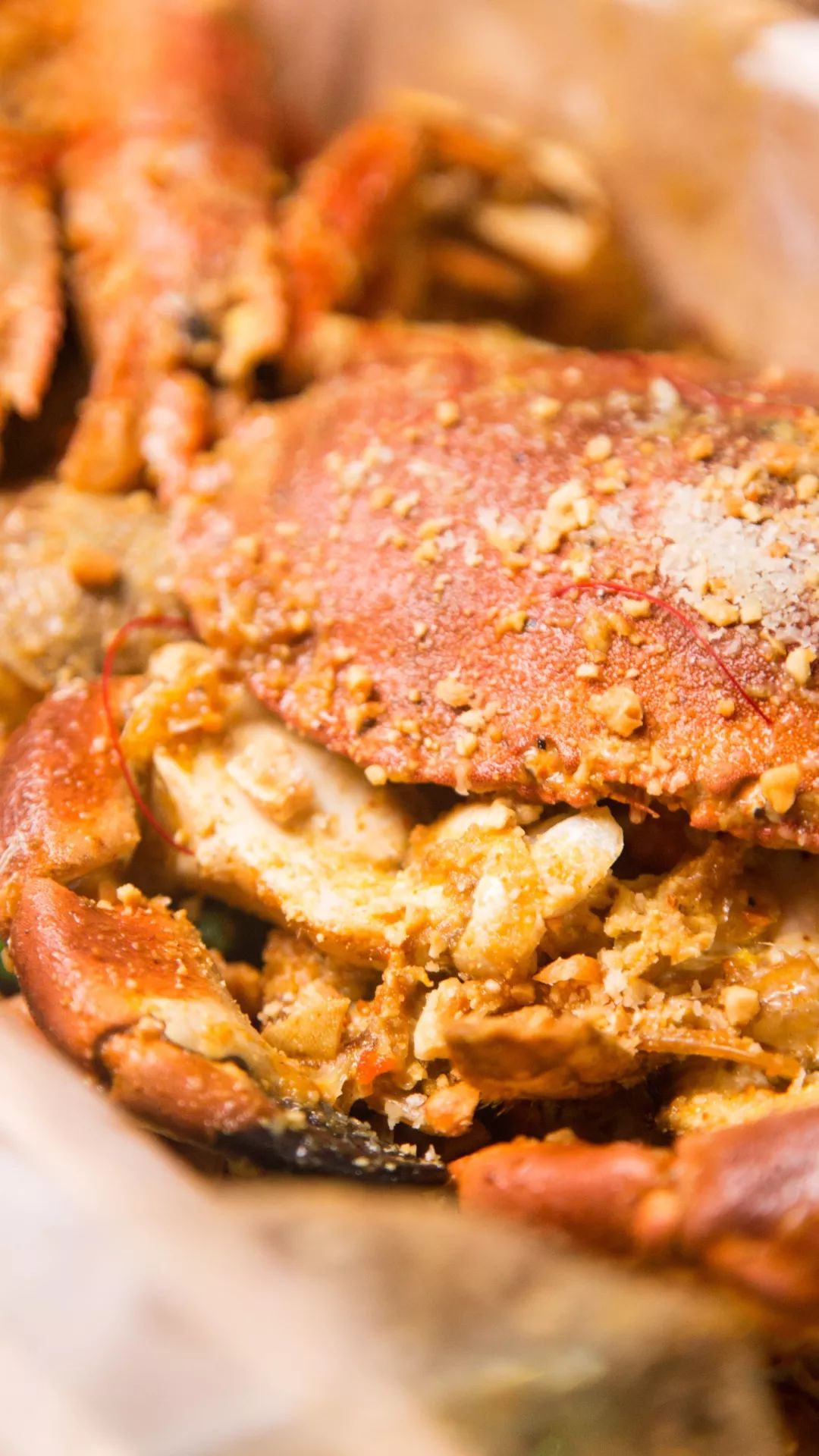 宝藏西餐店铺,宝藏西餐厅视频大全