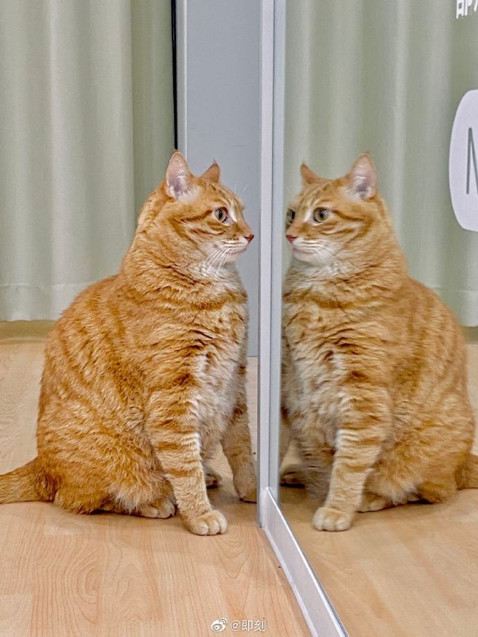 曾因世界杯被央视点名的黄即回归，陌生人社交赛道烽火令再起