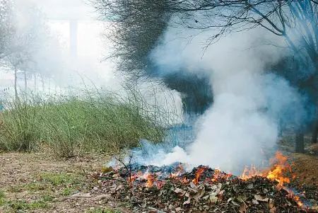 那些流掉的胎儿都去哪里了?看看这些结果,你还会选择流产么?