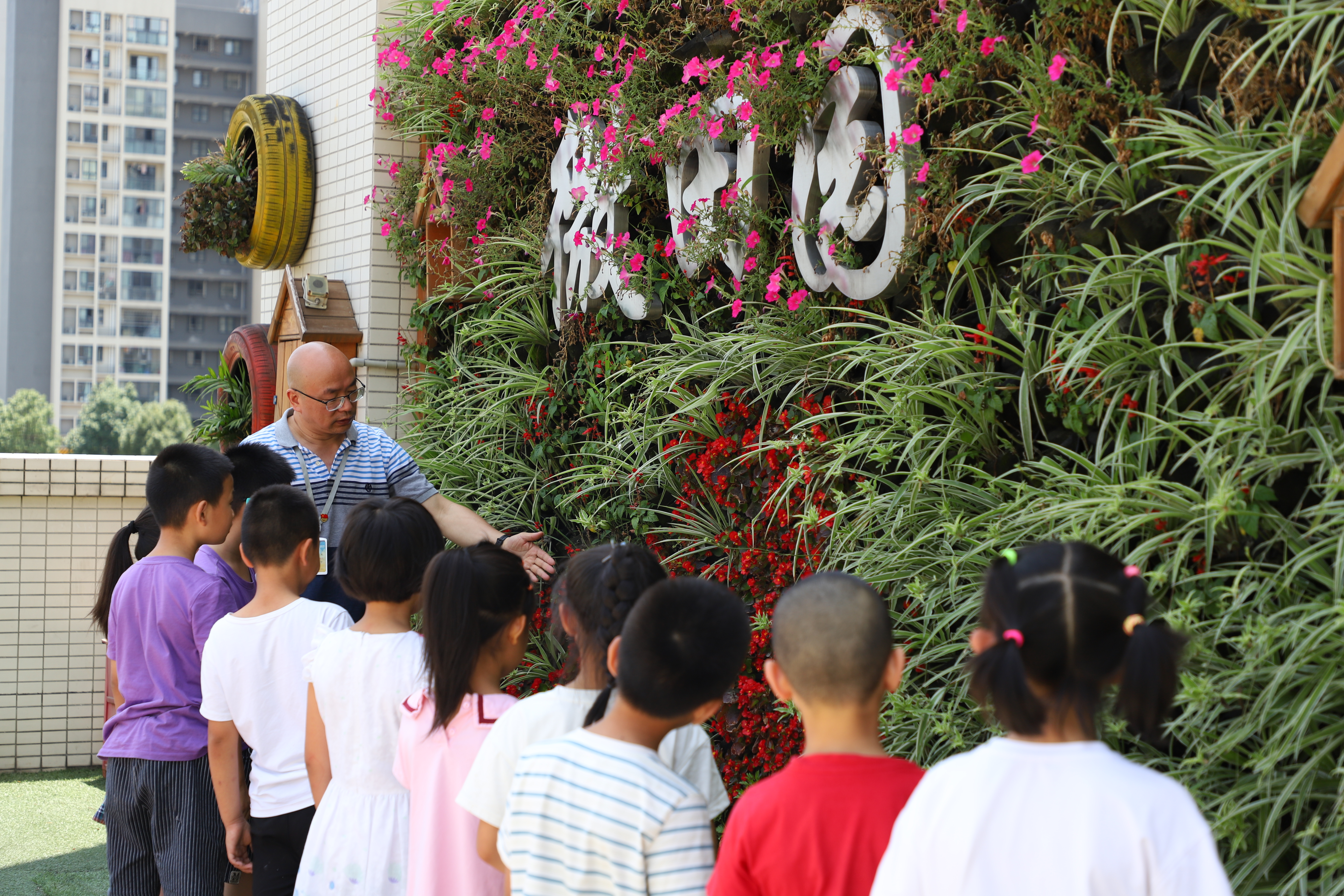 成都市金牛实验行知小学,成都高新区行知小学
