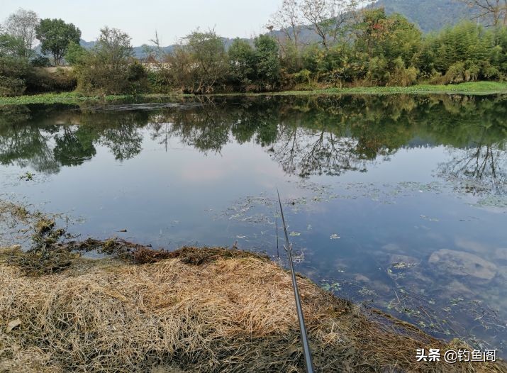 冬季钓鱼夜钓什么时间最好,初春夜钓钓鱼的最佳时间表