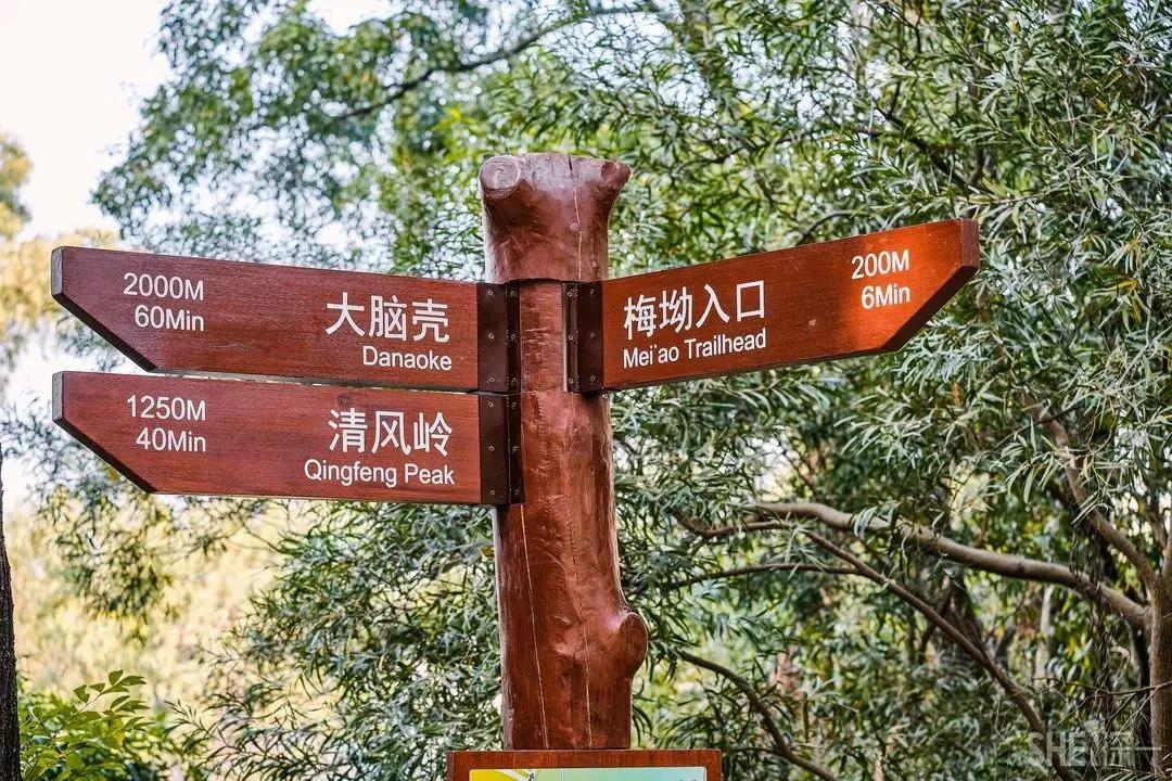 深圳首条手作“原始登山道”，人少好爬景色超美…过年去哪不用愁