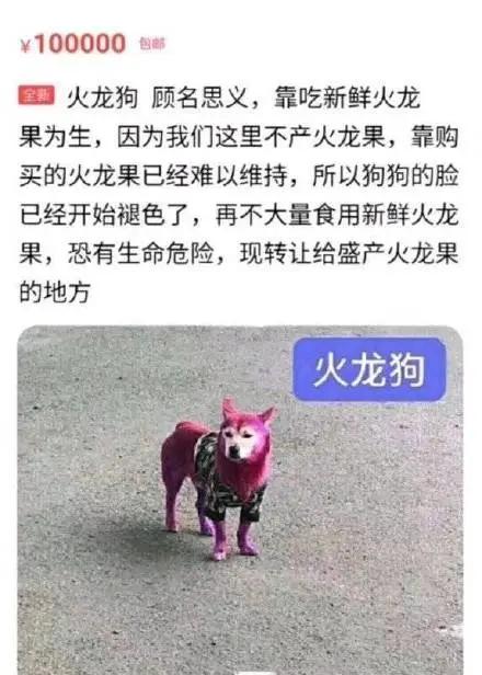 袁咏仪说张智霖劝自己的话,袁咏仪讲张智霖开玩笑