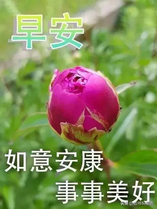 人生路有风有雨有苦有甜,人生的路有风有雨有坎坷