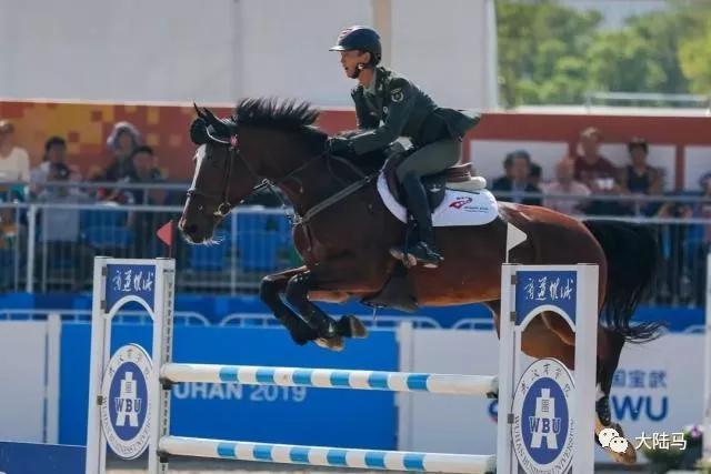 开设马理论硕士点的211学校,985招收马术特长生的大学