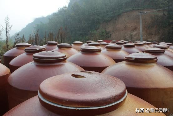 贾氏贡醋天然养生醋,贾氏贡醋什么时候喝