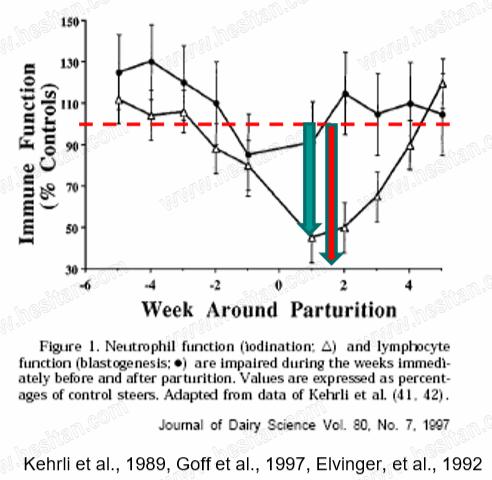 Jantijn博士谈牧场如何管控好夏季环境性乳房炎