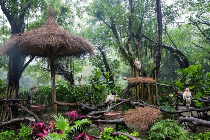 长隆飞鸟乐园湿地精灵,长隆飞鸟公园一日游攻略