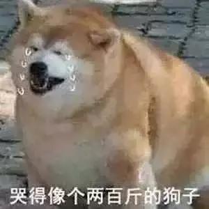 二手车查不到保养记录,查不到记录的二手车一般是什么