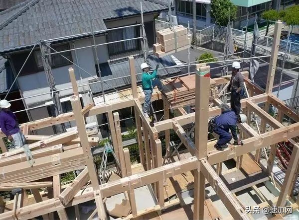 公司不按套路出牌,全网最不按套路出牌