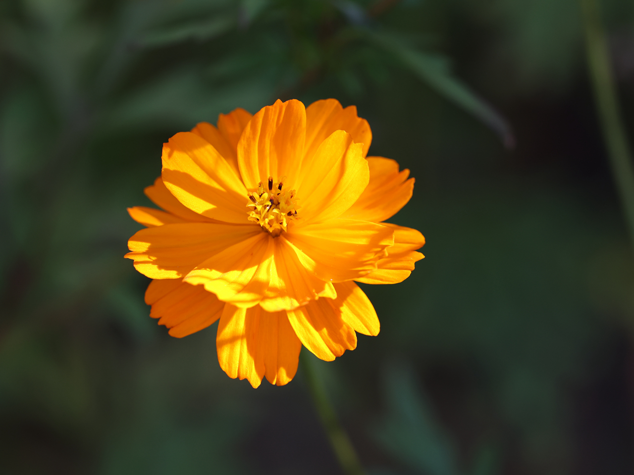 佳能rf100-500mm参数,佳能rf-s18-45mm测评