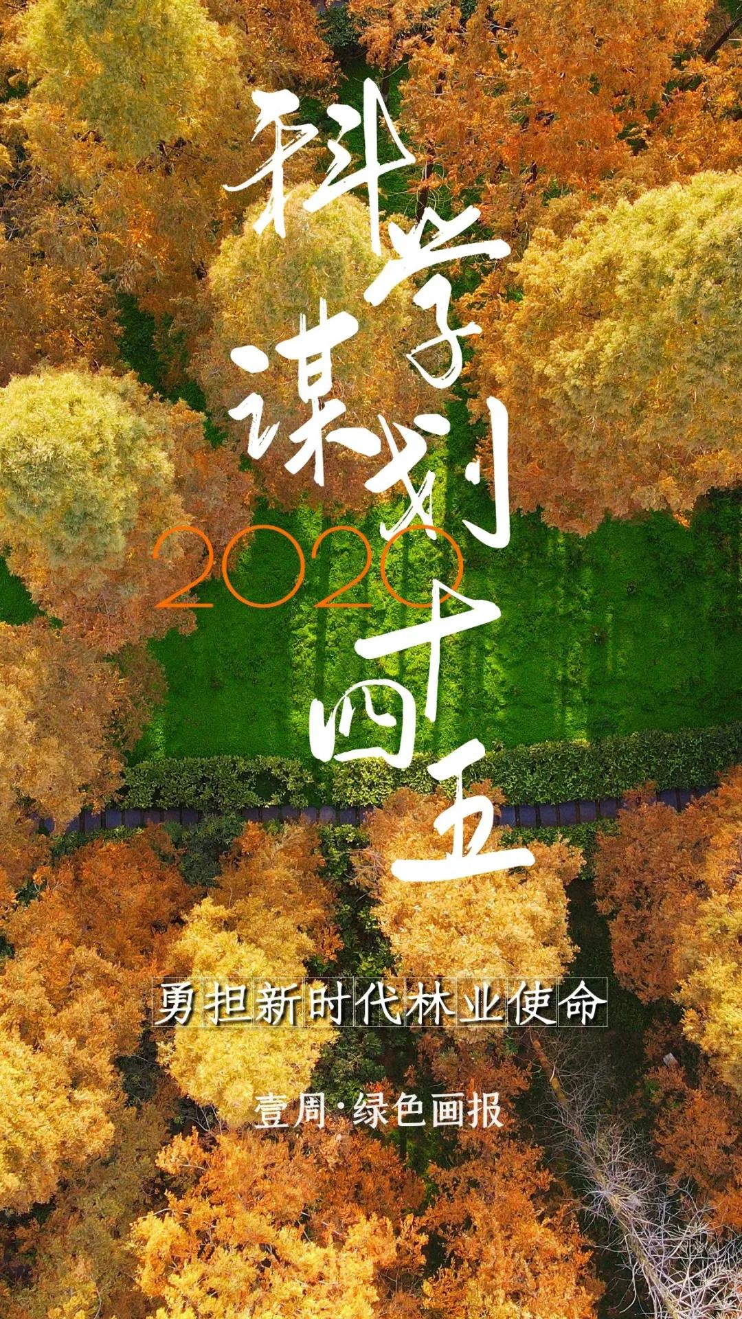 会玩！公园空降一批“暖宝宝”，只为给“老铁”暖暖心