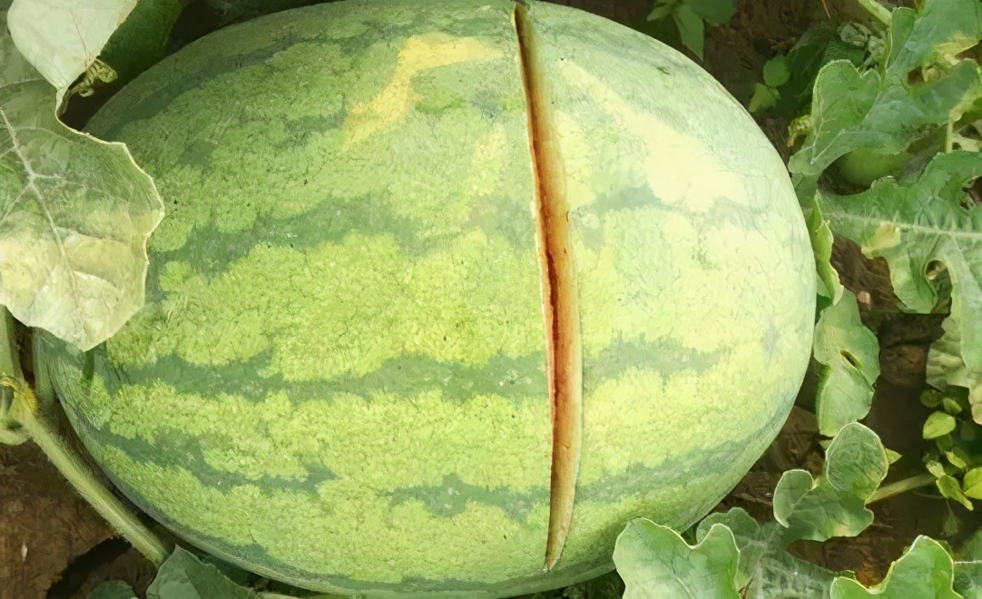 剖宫产完就后悔了，想自己生行吗