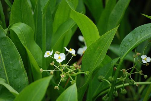 头晕看病花了8000,头晕去医院做了一大堆检查都正常