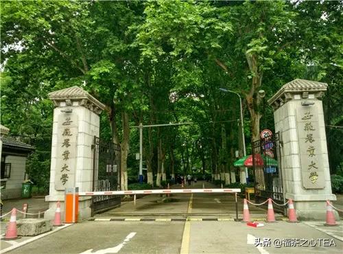 湖南农业大学茶学专业怎么样,广西有哪些高校开设茶学