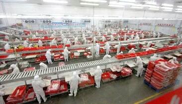 国外猪肉5元1斤,真正白菜价!为啥不多进口一些?看完明白了