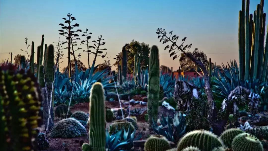 墨尔本蝉联宜居城市,全球宜居城市墨尔本