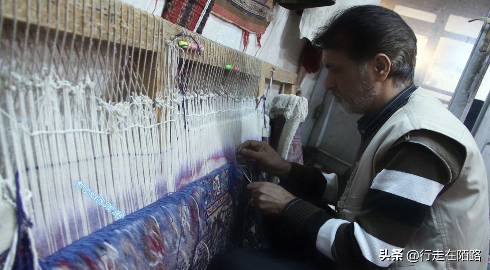 伊朗圣城旅视频,伊朗住宿一晚多少钱