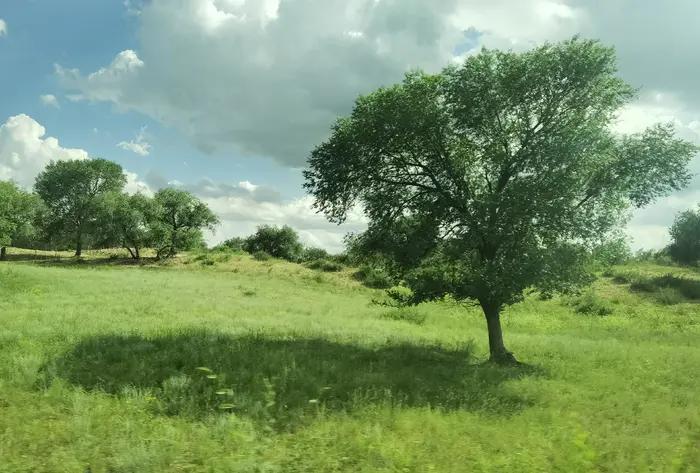 锡林郭勒草原冬天骑马,锡林郭勒盟大草原骑马