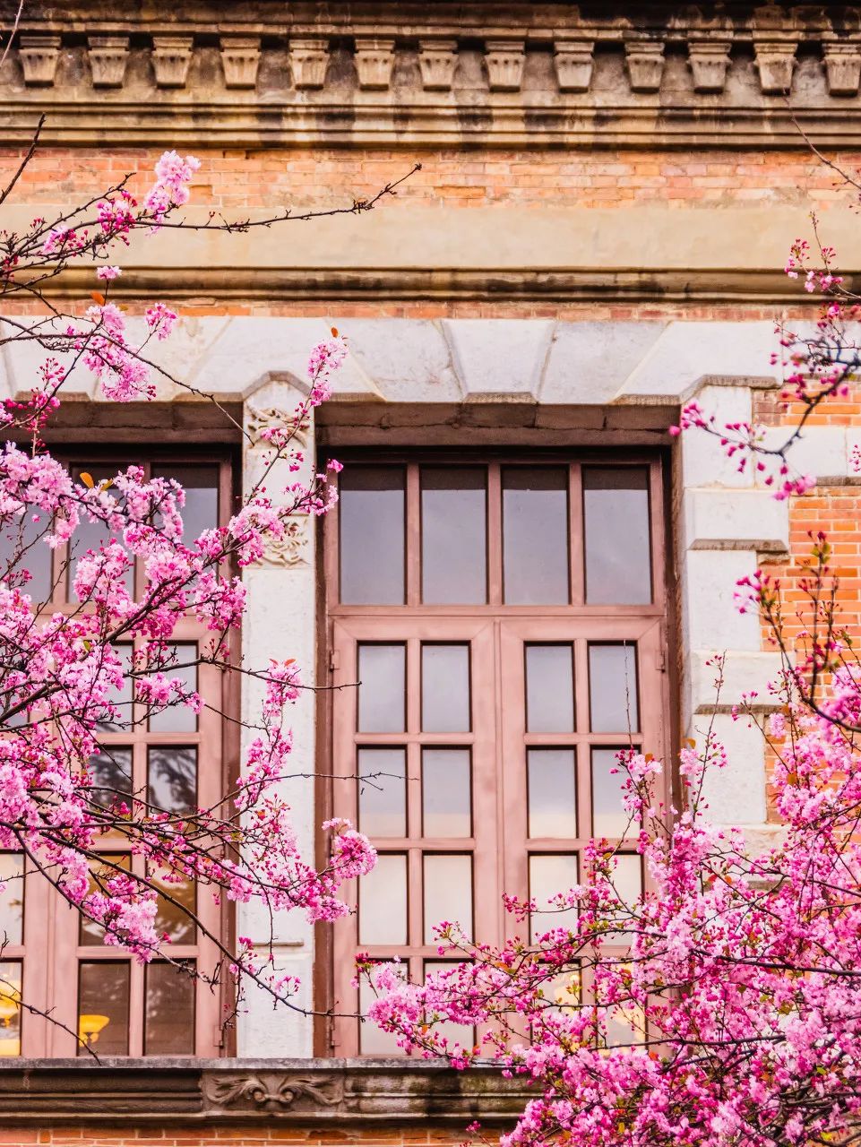 被大理丽江掩盖风头又怎样？它才是云南No.1！5月它太美了