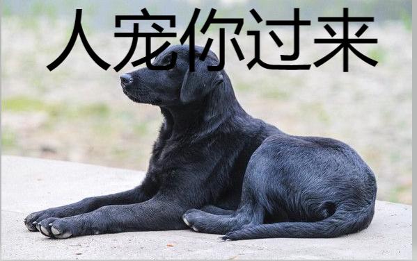 晚上睡不着看这八句话,晚上睡不着看电影的句子