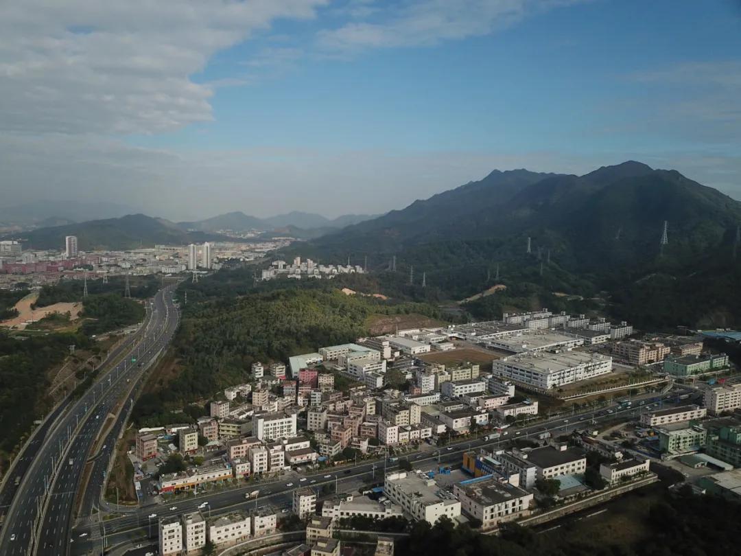 勇当“冲锋舟”系列访谈④丨创新石井:奋力打造高质量可持续发展的湾区重镇