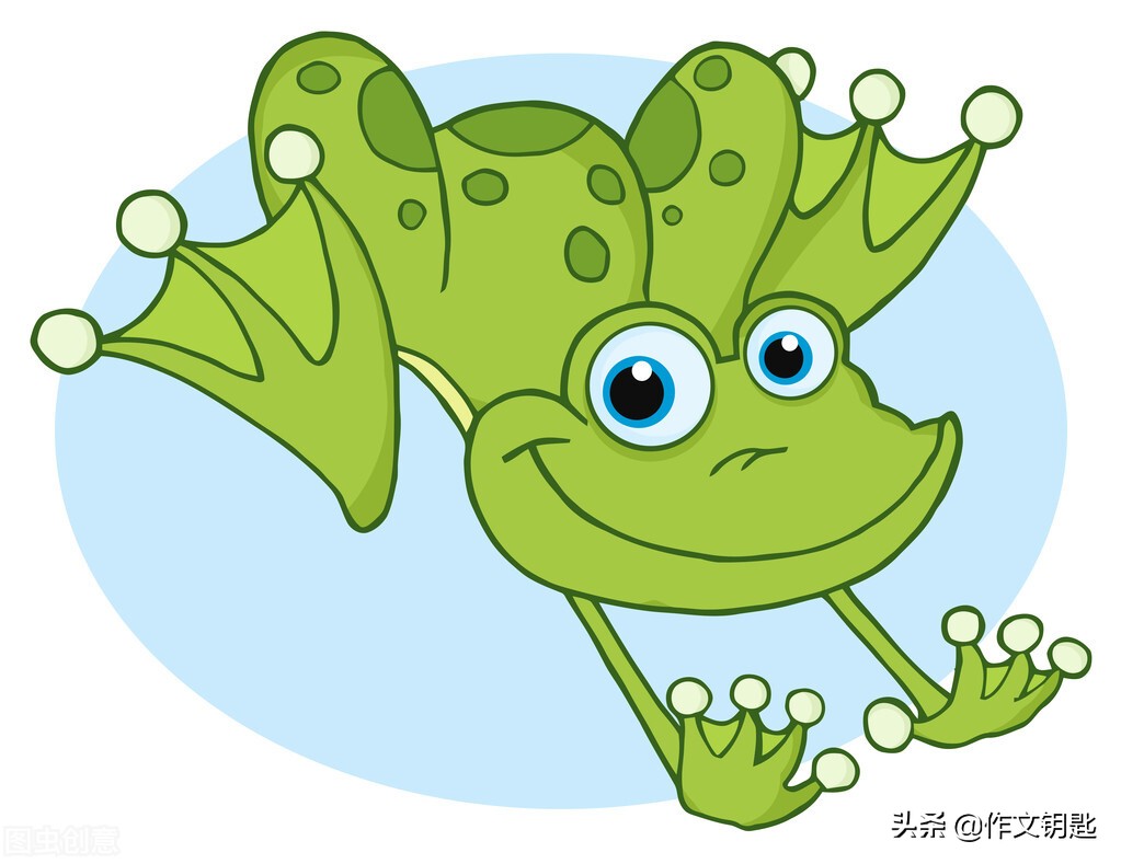 儿童自编青蛙童话故事,青蛙绘本制作过程