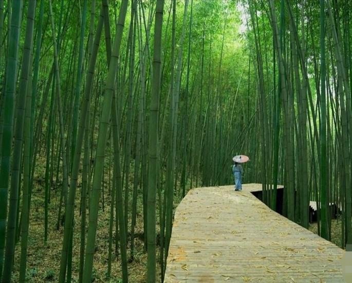 中国探秘丰都,中国探秘录完整版