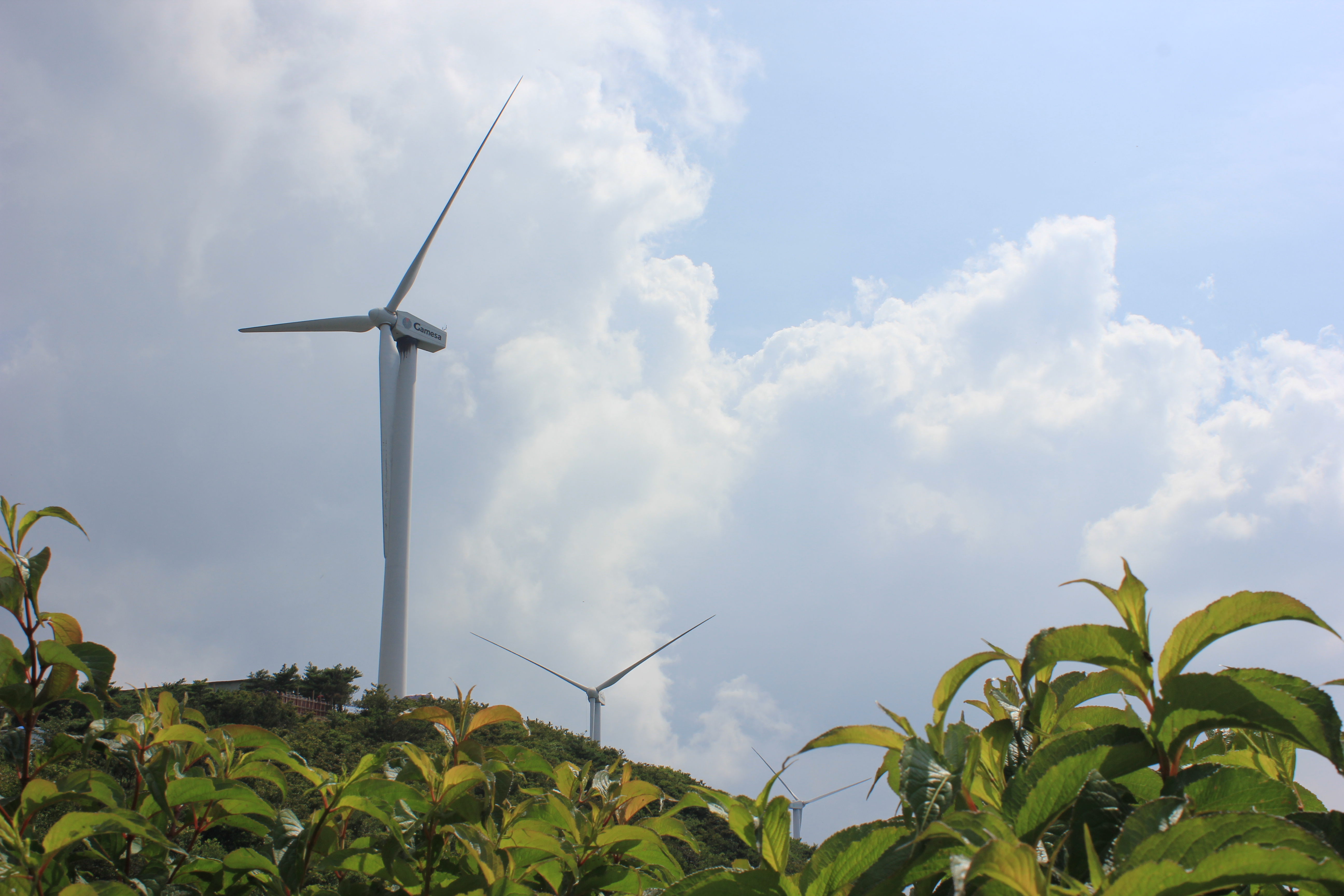 武汉周边避暑胜地｜端午武汉至咸宁九宫山2日自驾亲子游路线分享