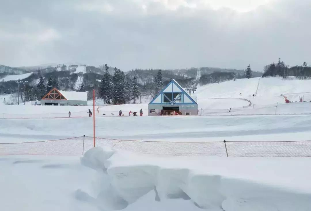 上海雪乡五日游攻略,日本雪乡一日游多少钱