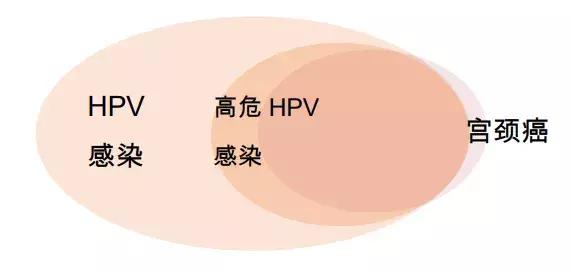 HPV病毒“认罪书”：宫颈癌头号元凶，80%以上女性会被感染