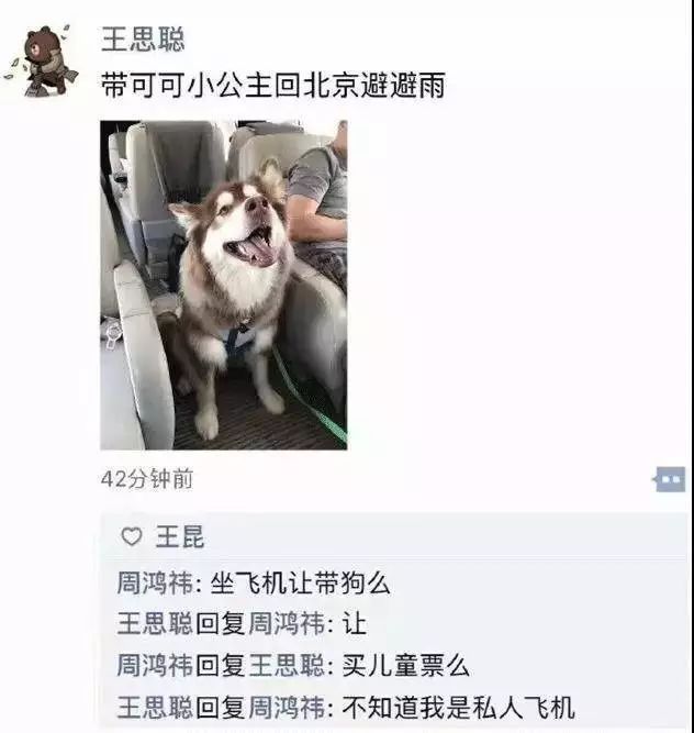 王思聪被限制消费令怎么处理,王思聪再被限制消费完整版