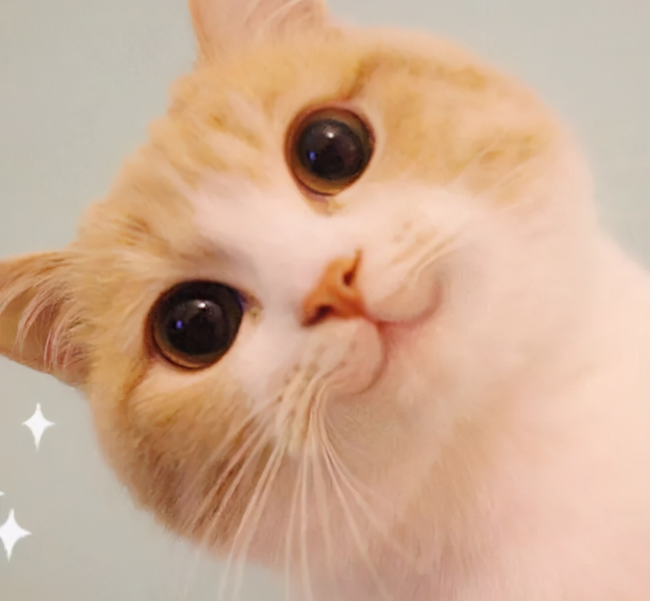 化妆水的作用及正确使用方法,化妆水有必要用好的吗