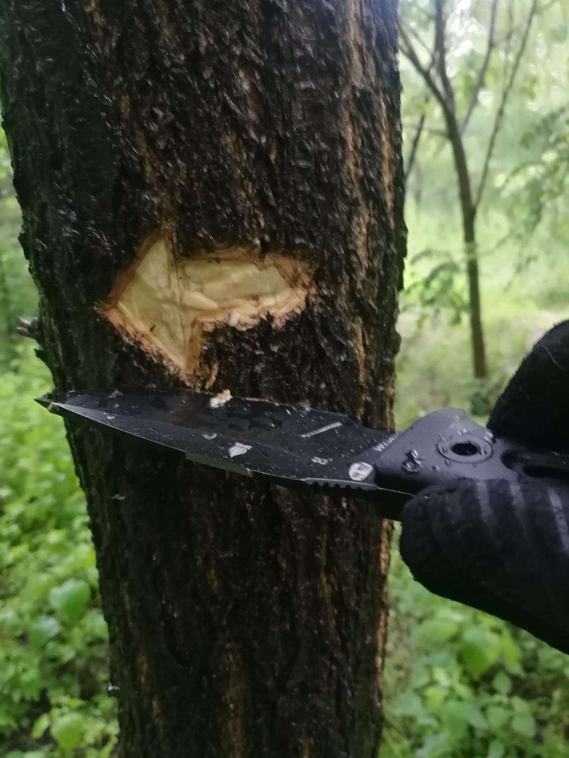 汉道洛克d2评测,汉道洛克xd2怎么样