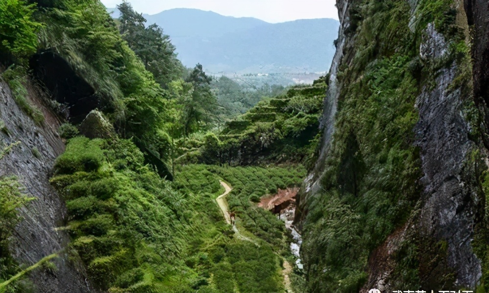 细品武夷岩茶十全肉宴,岩骨花香岩茶