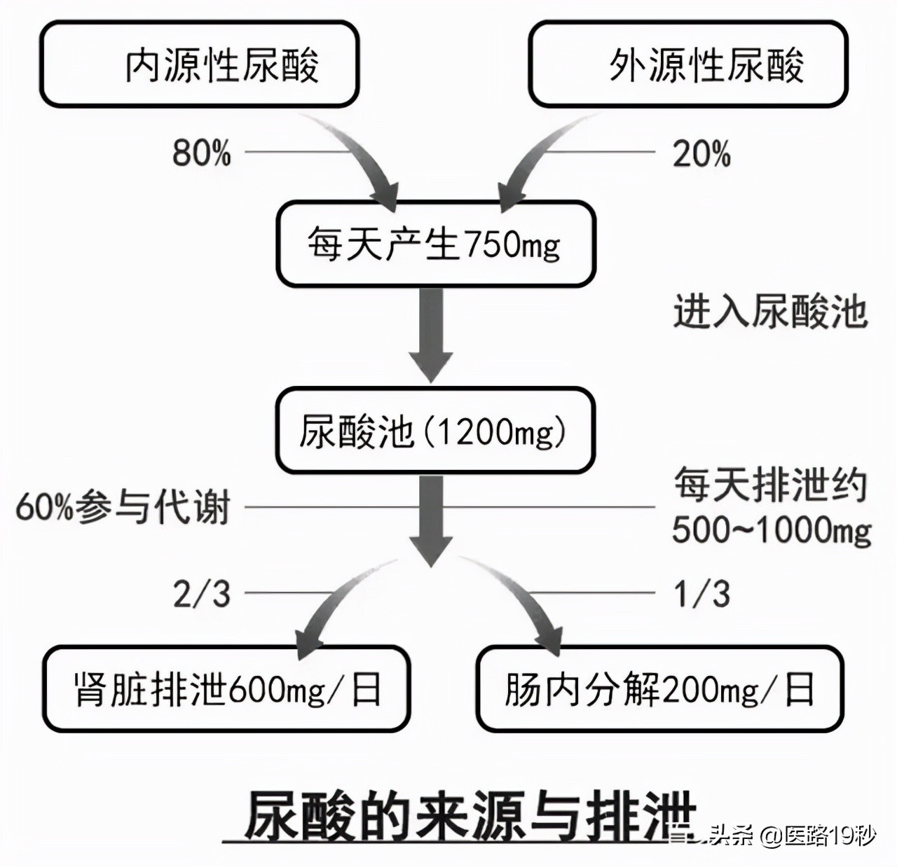 尿酸619喝水能降下来吗,尿酸600喝水能降下来吗