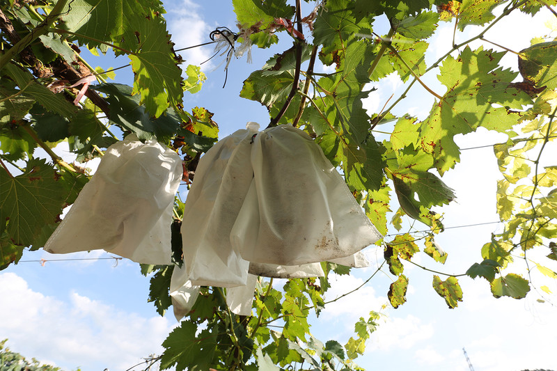 两天一夜游密云,密云两日游最佳攻略