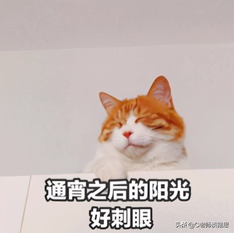 1元学理财被骗近万元，留学生：这智商税我交过