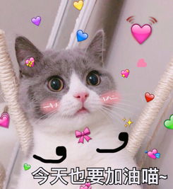 今年秋冬超火西部牛仔靴,今年流行的牛仔过膝靴