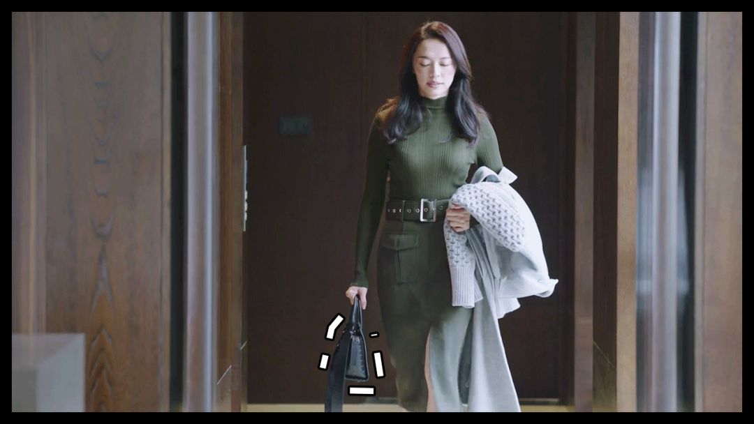 除了苏家和凌家还有什么家,除了苏家还有哪个家族