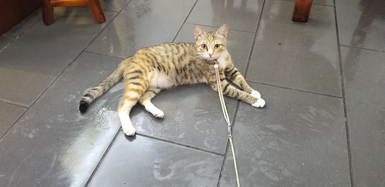 omg怀胎,omg生孩子了吗