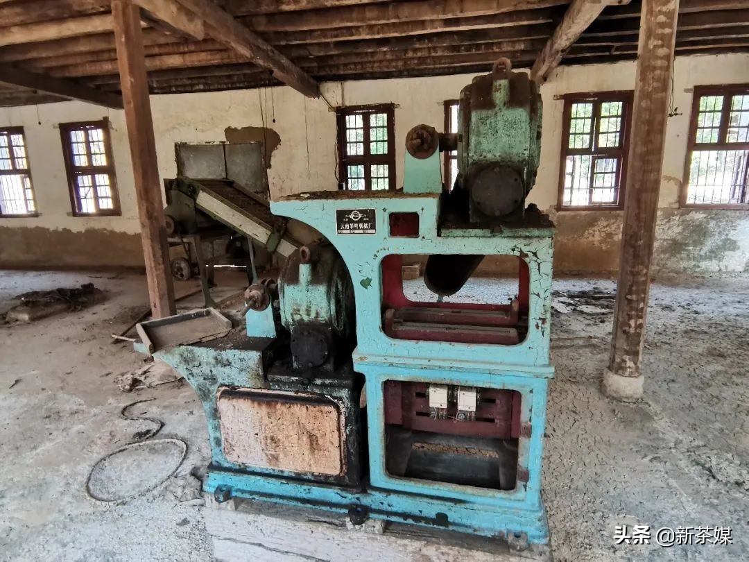 南糯山茶叶的故事,南糯山茶厂视频