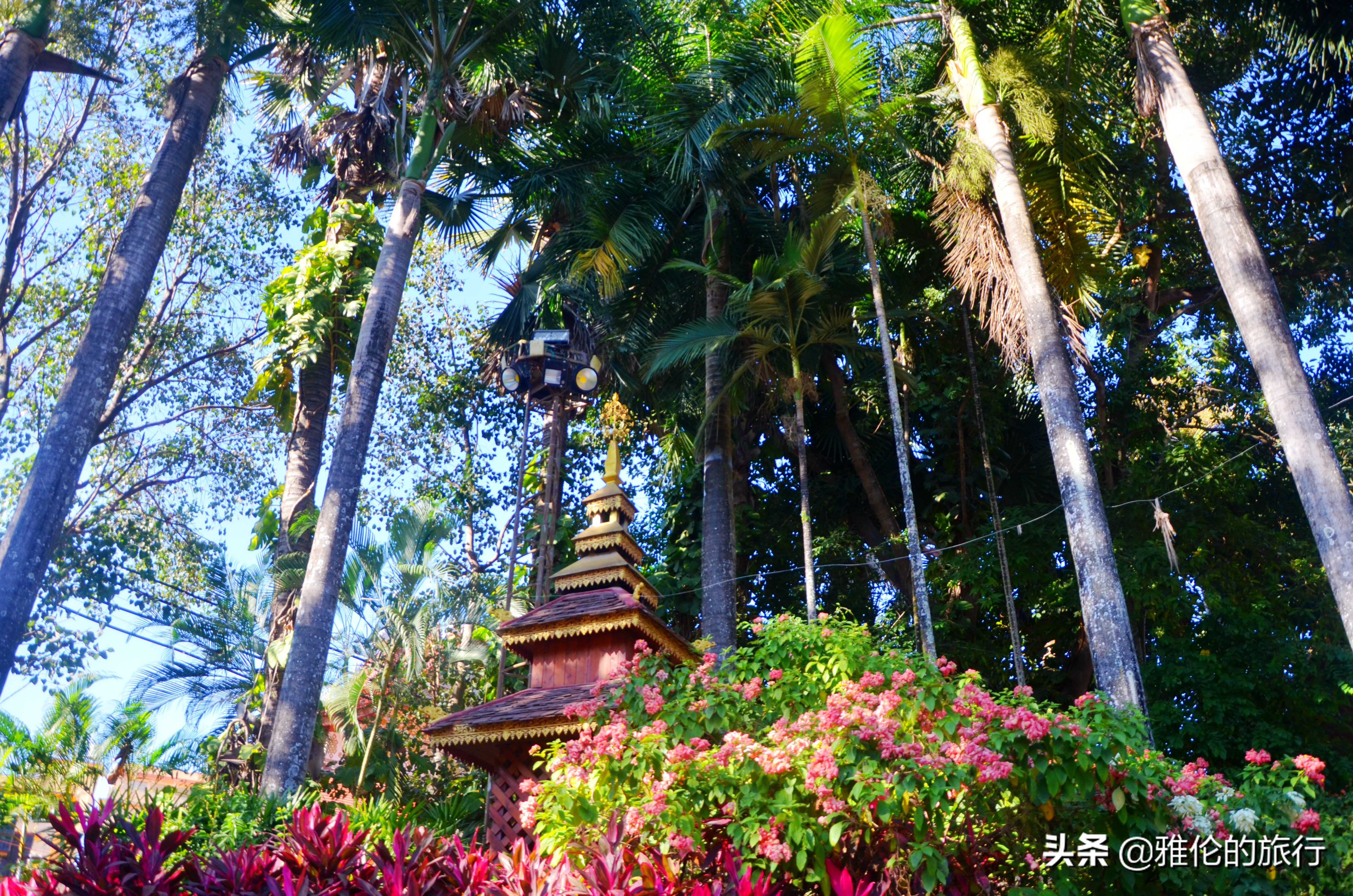 西双版纳傣王的后花园,傣王的御花园是谁修建的