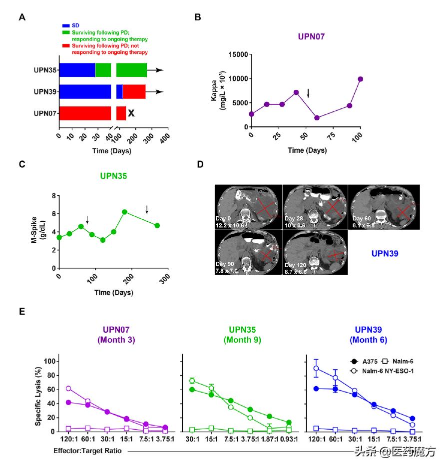 crispr治疗肺癌安全吗,crispr肺癌