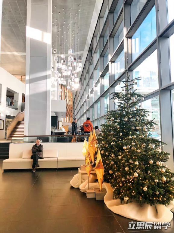 德国留学毕业起薪最高的10大专业,2022年德国留学最吃香的专业