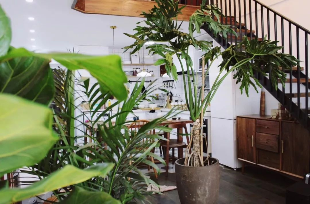 45个平方装修房子,45平方米装修房子