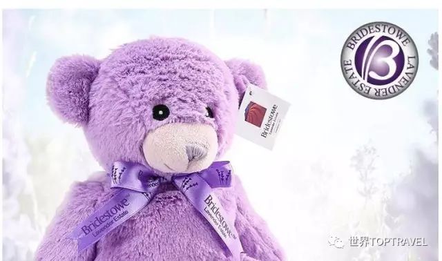 到了澳洲之后才知道的奇葩事,去了澳大利亚才知道的事