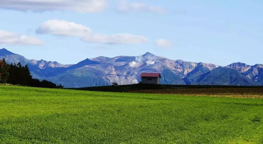 日本旅游吃饭攻略,日本游美食必购清单